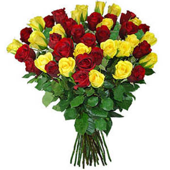 Beautiful assorted long-stemmed roses in a vase
